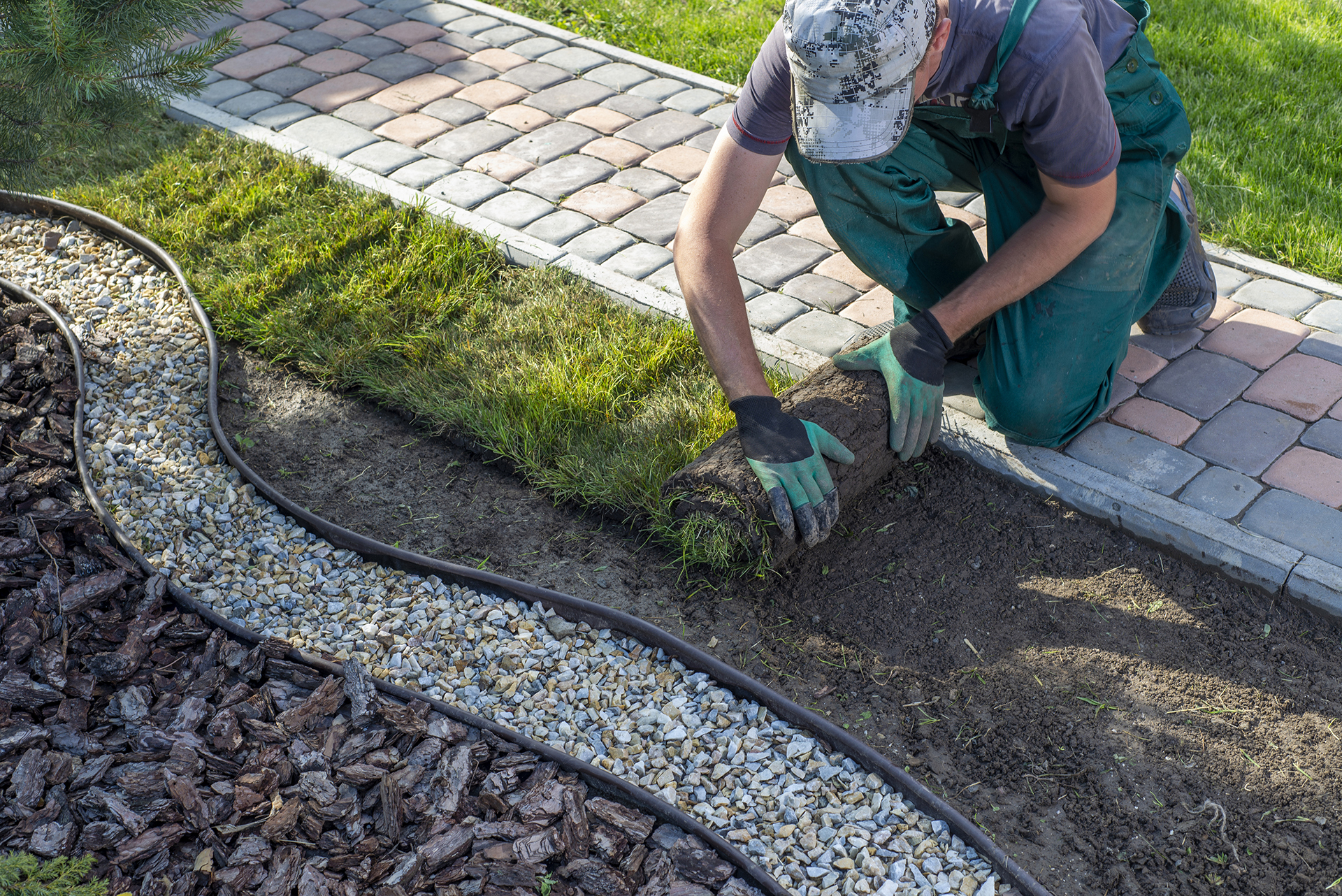 Plantering