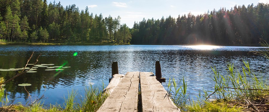 Agab Fortsattsommar